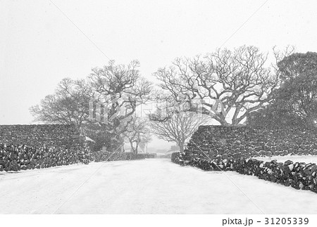雪景色 町民俗村 済州島 31205339