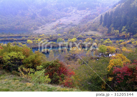 紅葉 四川省 森 31205344