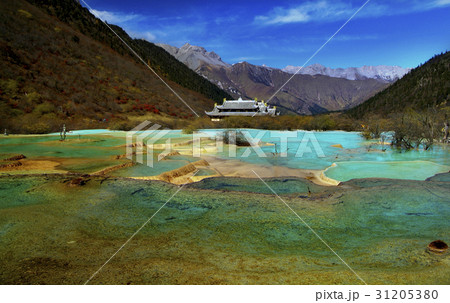 建てる 構築する 天然 31205380