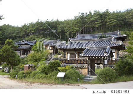 安東市 五千遺跡 伝統 31205493