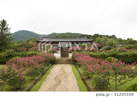 慶北 安東市 河回村 31205509