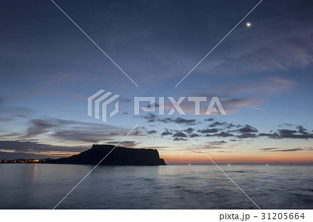 海 城山日出峰 夜景 31205664
