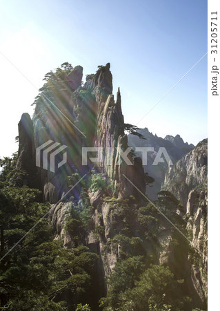 木 山 中国の 31205711