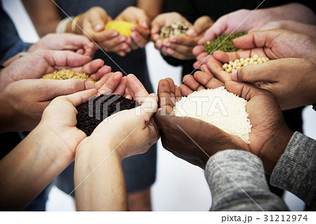 Diverse People Hands Hold Show Superfood Grains Corps Diverse People Hands Hold Show Superfood Grains Corps 31212974
