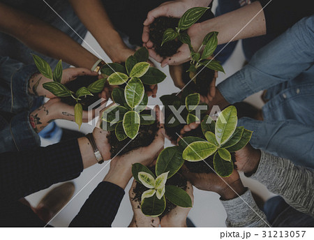 Diverse People Hands Hold Plants Nature 31213057