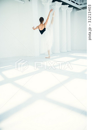 バレリーナ 女性 バレリーナ 女性 31213403