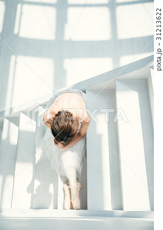 座る　バレリーナ 31213622