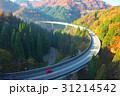 おろち僑 31214542
