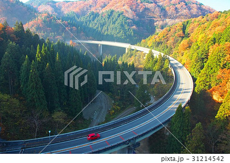 おろち僑 おろち僑 31214542