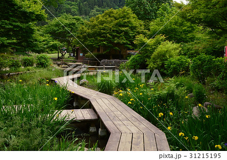 夕やけ小やけふれあいの里の初夏は 八王子市 夕やけ小やけふれあいの里の初夏は 八王子市 31215195