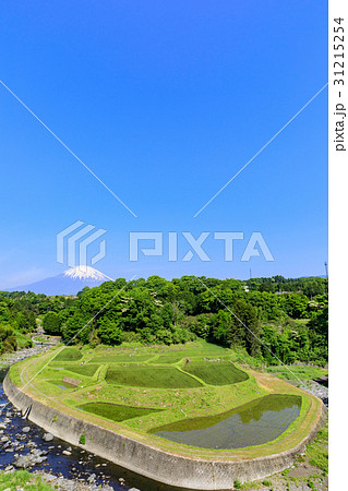 静岡_富士山_竹之下棚田 31215254
