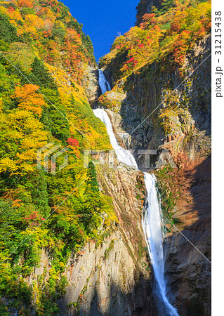 富山_絶景錦秋の称名滝 富山_絶景錦秋の称名滝 31215438