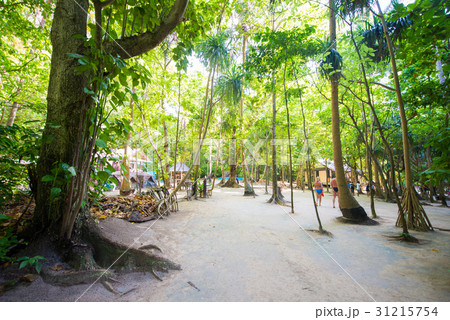 on the way to Losama Bay - viewpoint 31215754