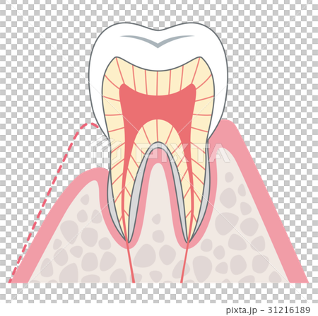 過敏性醫學橫斷面 31216189