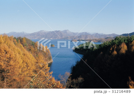 紅葉 忠清北道 忠州湖 31216489