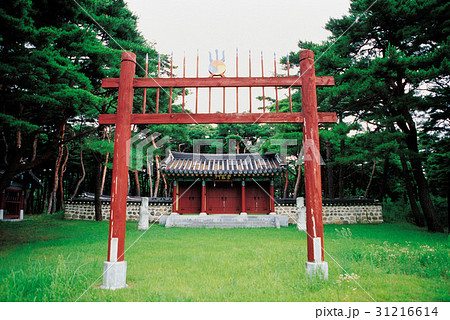 木 ドア 芝生 31216614