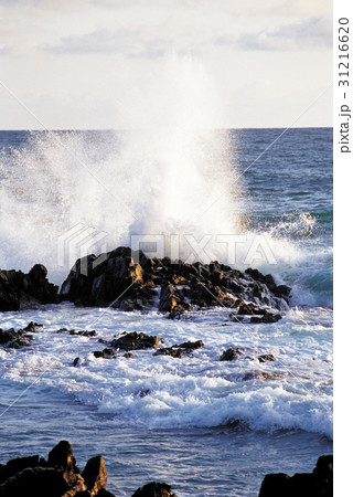 波 朝鮮 韓国 31216620