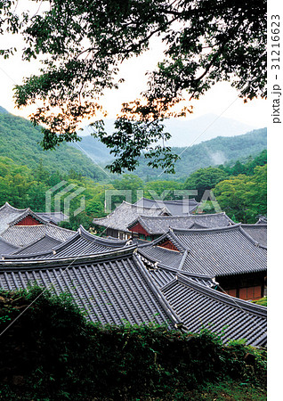 木 山 屋根 31216623