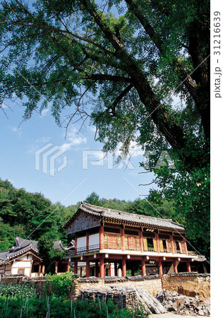 木 三界書院 書院 31216639