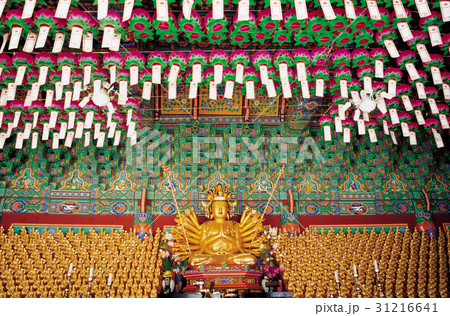 江原道 スタサ 提灯 31216641