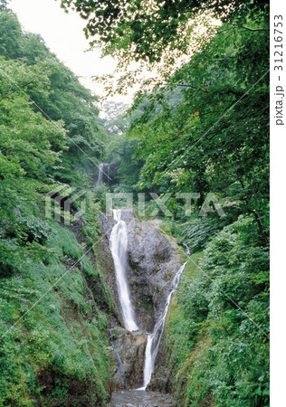 蓬莱の滝 夏 鬱陵郡 31216753
