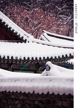 木 内蔵寺 雪景色 31216894
