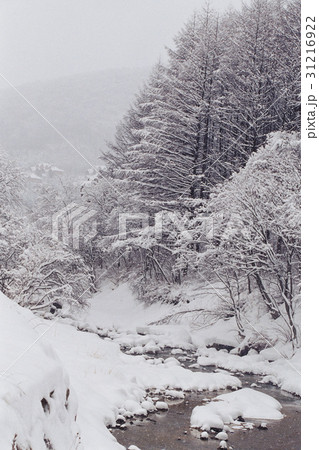 小川 冬 季節 31216922