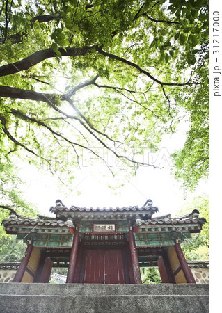 古建築 吉祥寺 木 31217000