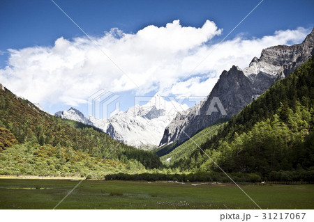 雲 シャングリラ 雲南省 31217067