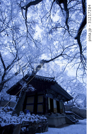 冬 慶北 仏国寺 31217284