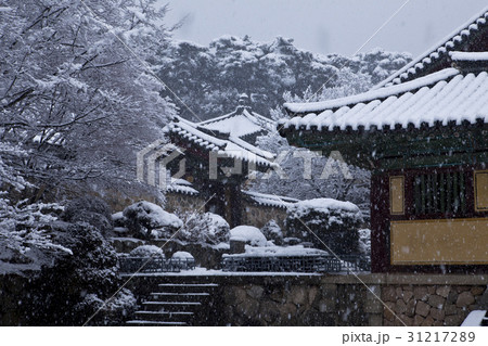 建築 冬 慶北 31217289
