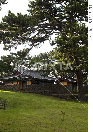 古建築 芝生 済州島 31217453