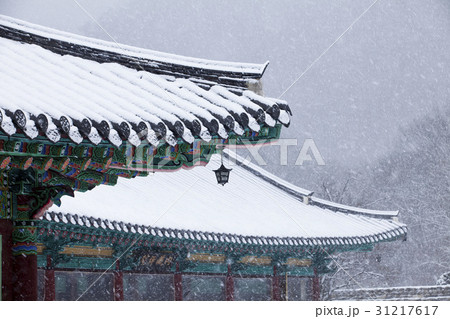 冬 内蔵寺 内蔵山 31217617