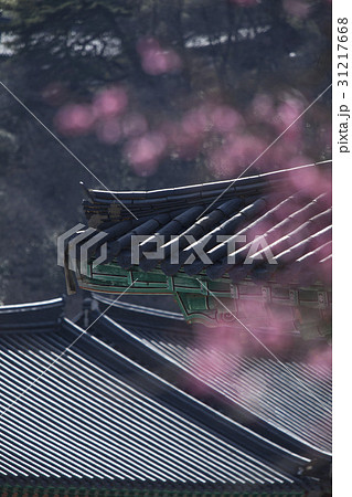 古建築 仏教 通度寺 31217668