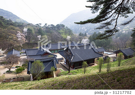 慶北 ギムリョンサ 聞慶市 31217702