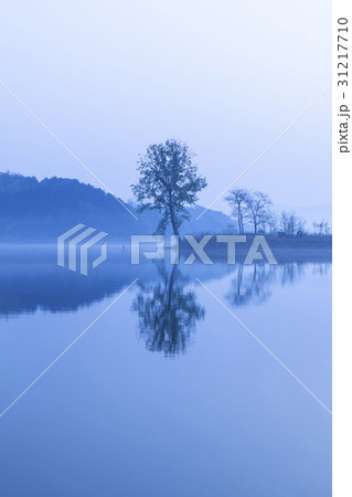 忠州市 忠州湖 風景 31217710