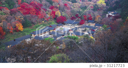 紅葉 白羊寺 全羅南道 31217723