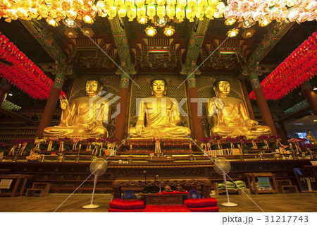 ローアングル 下アングル 低角度 31217743