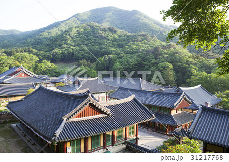 松広寺 順天市 全羅南道 31217768