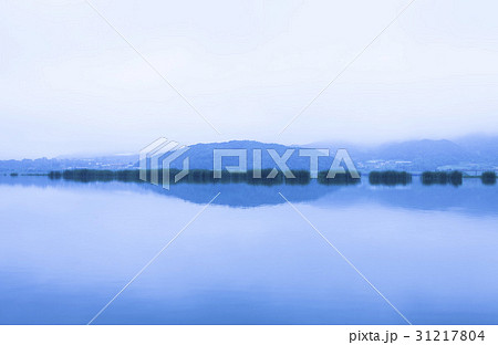 反射 反影 湿地 31217804