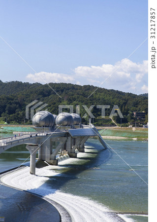 京畿道 キョンギド ボー 31217857