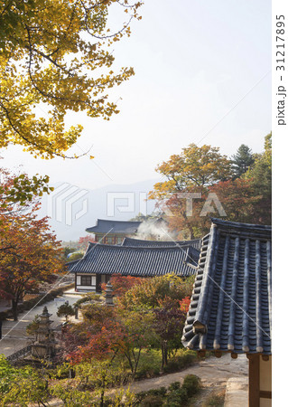 鳳凰山 浮石寺 栄州市 31217895