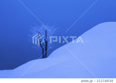 忠清北道 忠州湖 韓国 31218038