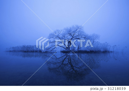 忠清北道 忠州市 忠州湖 31218039