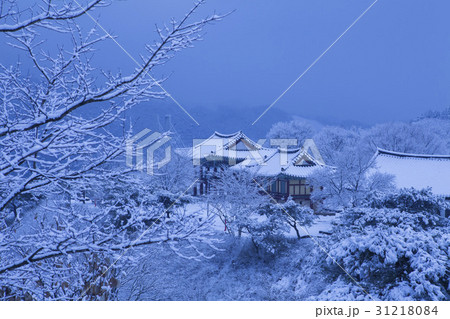 宝物 うん聴覚 堤川市 31218084