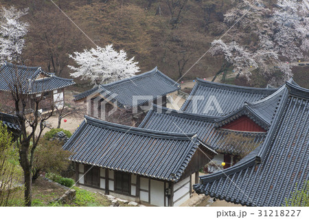古建築 ウンダルサン トップアングル 31218227