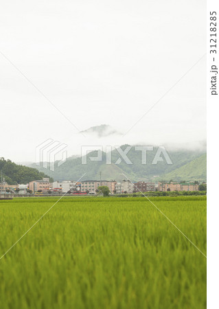 山 自然 忠州市 31218285