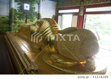 ボタプサ 仏教 ワブル 31218289