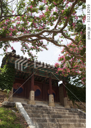 慶北 ベロン木 屏山書院 31218299