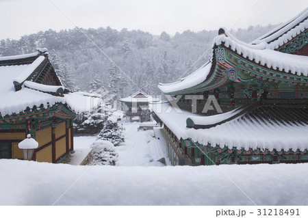 ゆき 雪 雪景 31218491